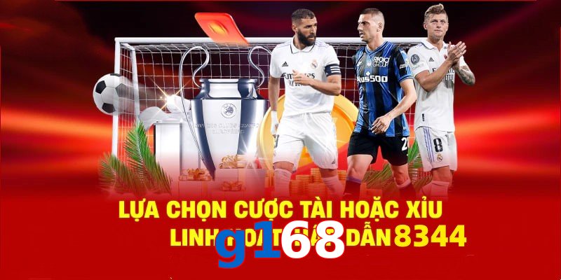 Danh mục đa dạng, đoán chuẩn là nhận tiền